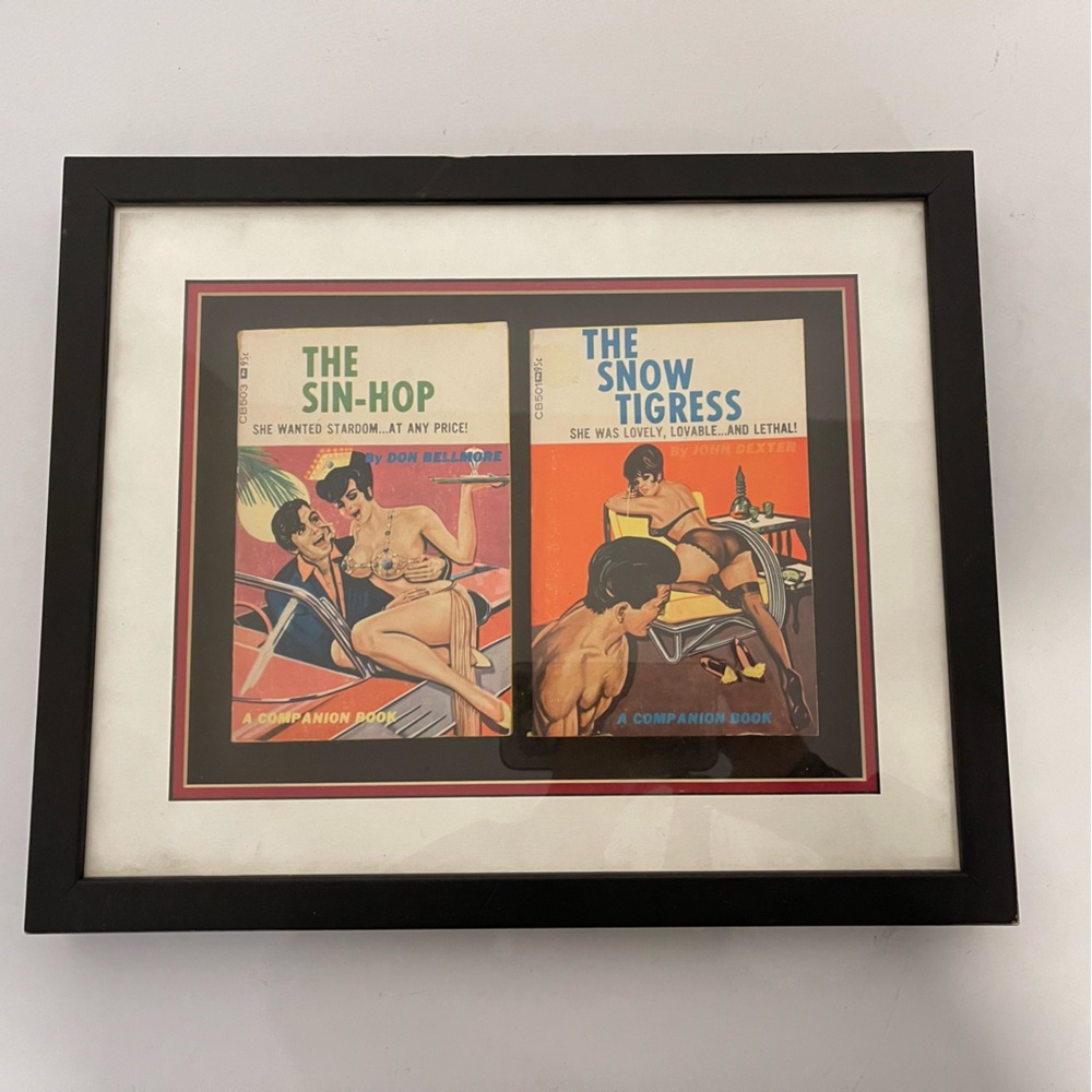 Rare Vintage books “The Sun-Hop and The Snow Tigress “ inside frame